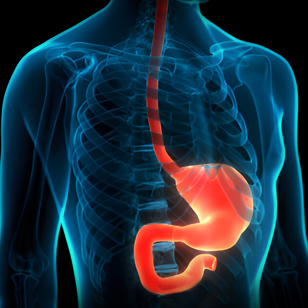 Diabetes-and-Metabolic-disorders1-1